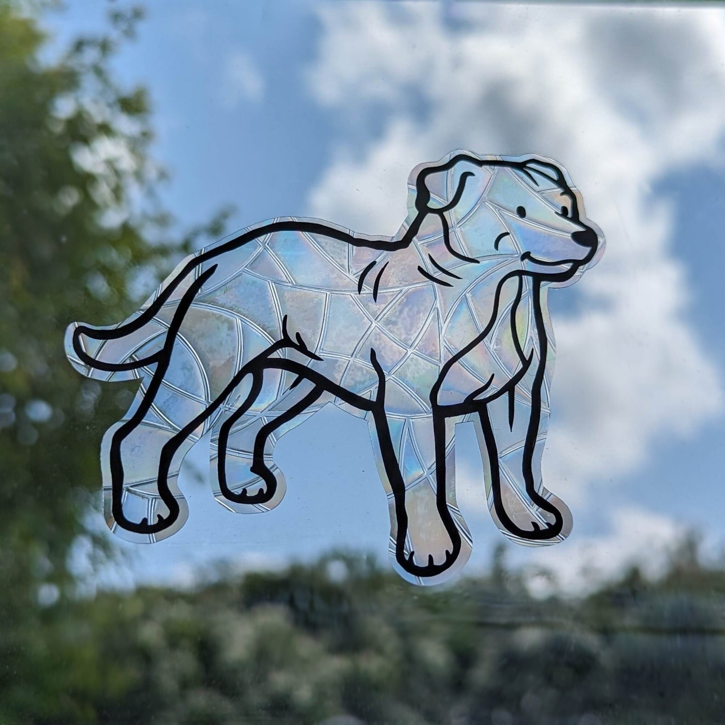 Staffordshire Bull Terrier Vinyl Window Cling | Sun Catcher | Gift Idea | Dog Design | Cute Greyhound | Whippet | Lurcher | Rainbow