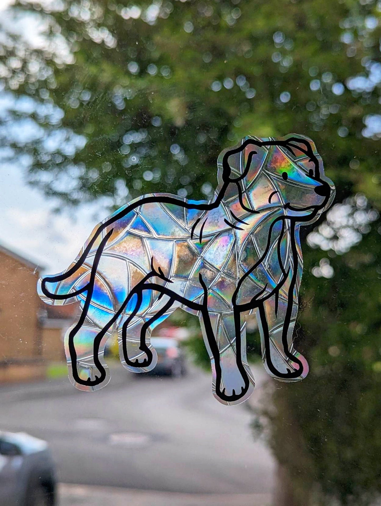 Staffordshire Bull Terrier Vinyl Window Cling | Sun Catcher | Gift Idea | Dog Design | Cute Greyhound | Whippet | Lurcher | Rainbow